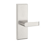 TDE-02 Blank Escutcheon Dummy Lever Trim for TDE 1000/2000 Series Exit Devices