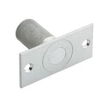 DP2 Dust-Proof Flush Bolt Strike