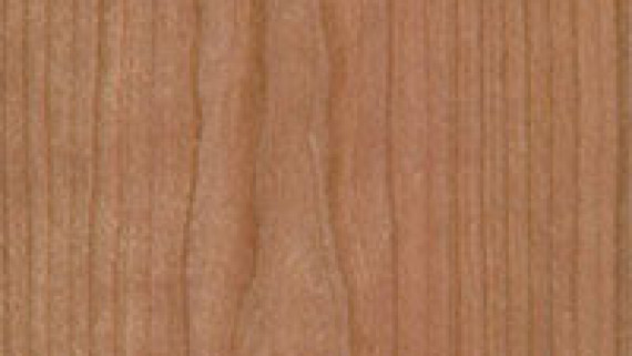 Cherry Commercial Wood Doors