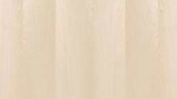 White Birch Commercial Wood Doors