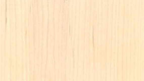 White Maple Commercial Wood Doors